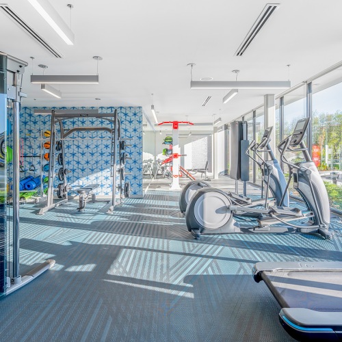 Fitness room Fitness room with multiple treadmills, free weights, and weight machines